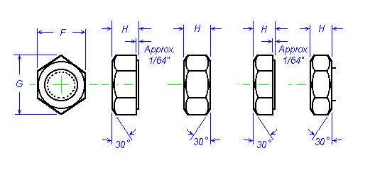 Nut Illustration